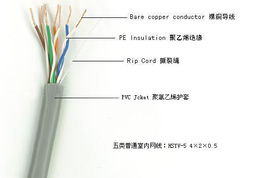 广东揭阳网线厂 出厂价直供超五类、六类网线，专业定制网络线缆解决方案