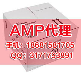 攀枝花网络设备配件公司名录与网络线选购指南